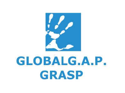 logo8_grasp-1-1.jpg